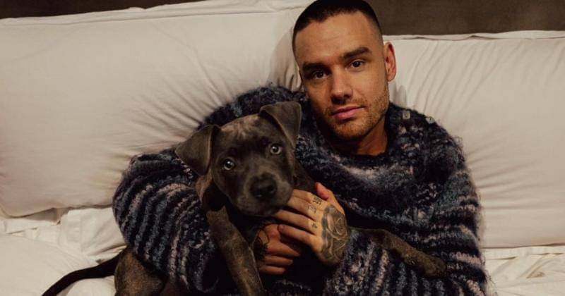 Instagram.com/liampayne